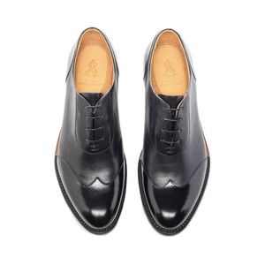 Mr. Evans Wingtip - Office of Angela Scott